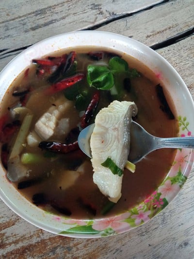 ต้มยำปลาช่อน