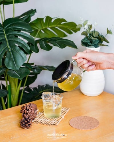 Yabukita Sencha (cold)