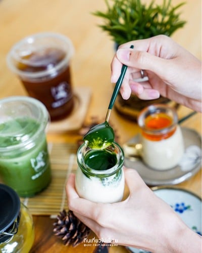 Matcha Pudding