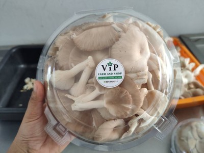 แตงกวา