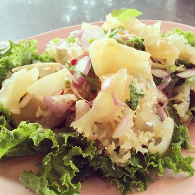 ยำแมงกระพรุน