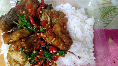 ,ปลานิล   ผัดกระเพรา หรือ  ผัดโหรพา