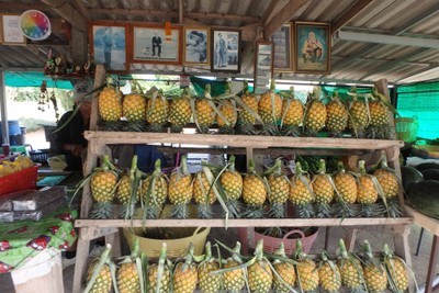 สวยๆ ทั้งนั้น