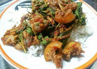 ข้าวผัดเผ็ดหมูป่า