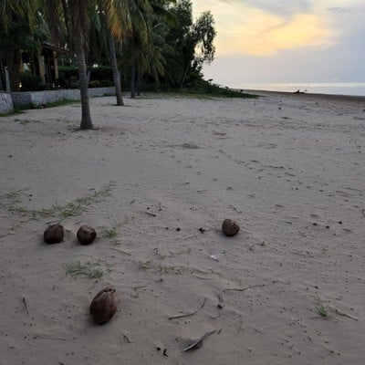 สระว่ายน้ำ/ชายหาด