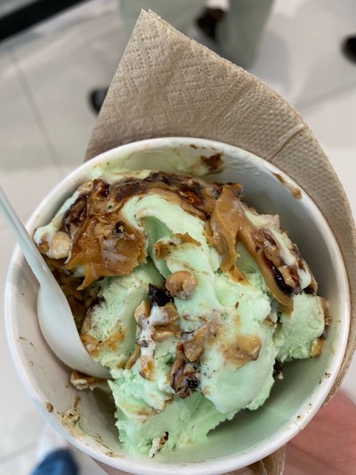 Mint Mint Chocolate Chocolate Chip
