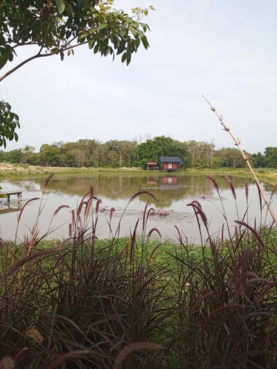 บรรยากาศ