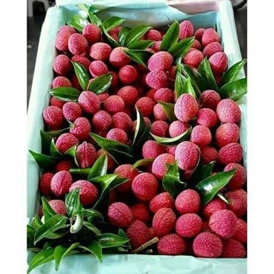 ลิ้นจี่พันธุ์จักรพรรดิ์ 1 KG