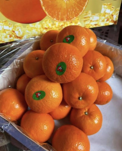 ส้มแมนดารินใต้หวัน 1 KG