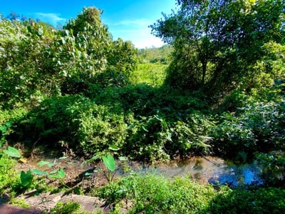 Khaokhoherbary Organic farm & Resort