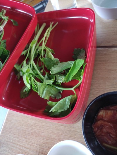 ผักคื่นฉ่าย