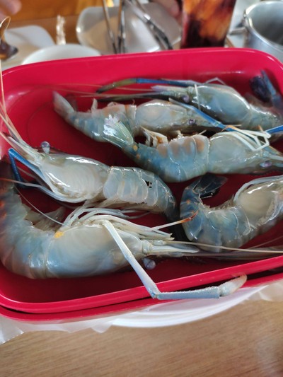กุ้งแม่น้ำ