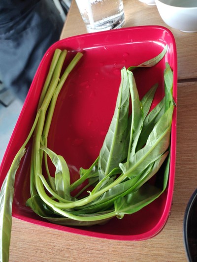 ผักบุ้ง