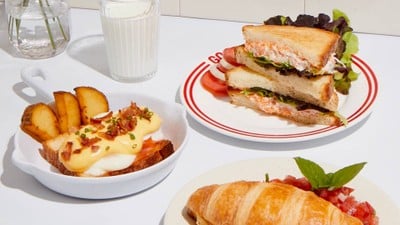 Wonder Woods Wonder Woods