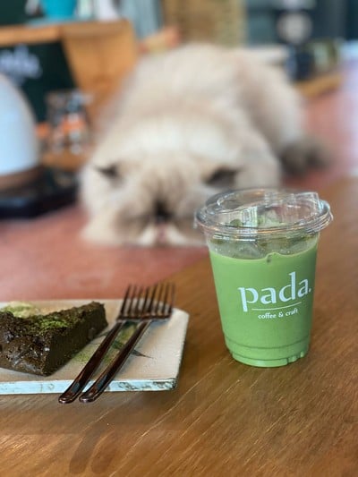 เมนูของร้าน PADA cafe