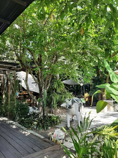 บรรยากาศ