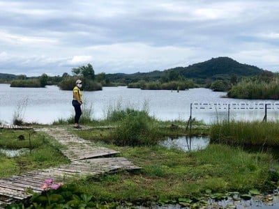 สวนพฤกษศาสตร์ระยอง