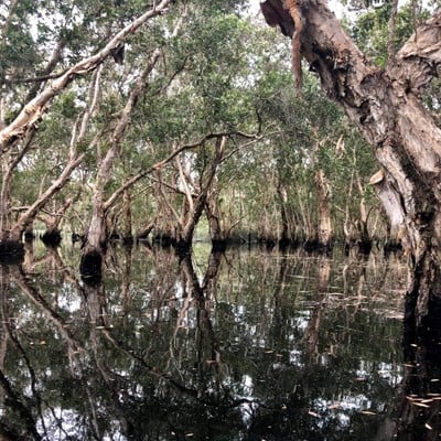 สวนพฤกษศาสตร์ระยอง