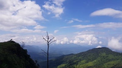 อุทยานแห่งชาติภูสอยดาว