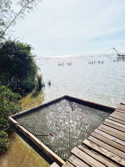 ชานไม้ ชายเล (lake House)