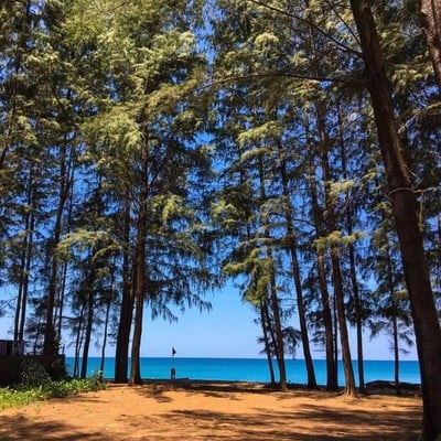 หาดไม้ขาว