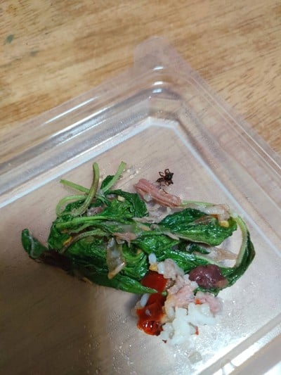 ผัดกะเพราขาหมู (ราดข้าว)