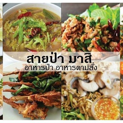 รูปโปรไฟล์