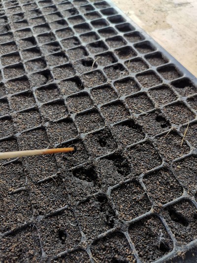 บริเวณโดยรอบ