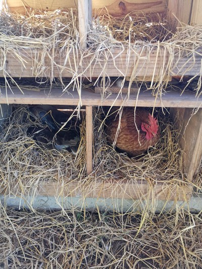 บริเวณโดยรอบ