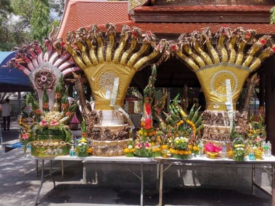 วัดป่าคลอง 11