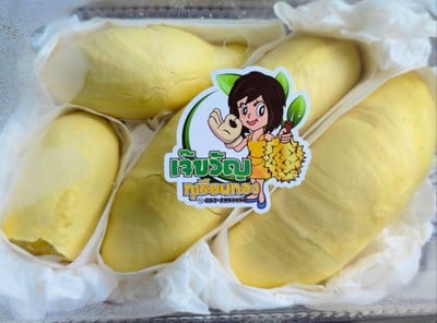 เจ๊ขวัญ-ทุเรียนทอง ทุเรียนเกรดพรีเมียม