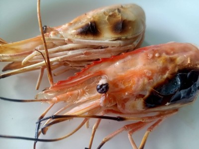 กุ้งเผาคะ