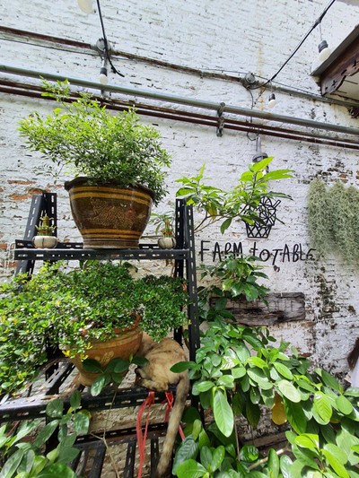 บรรยากาศ