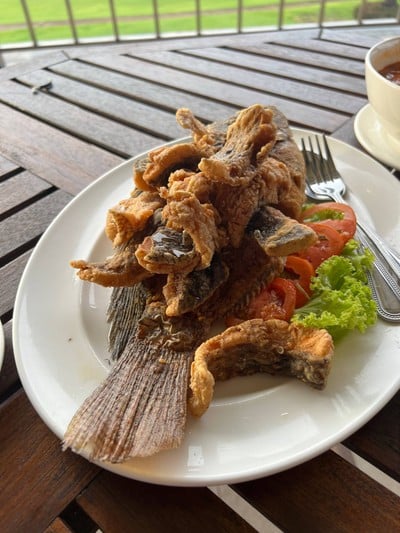 ปลาลำตะคลองทอดน้ำปลา