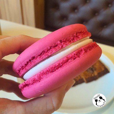 Strawberry Macaron