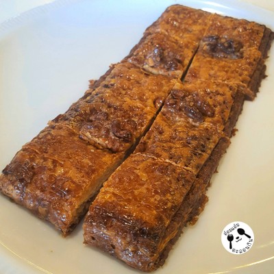 Alligator เอลลิเกเตอร์