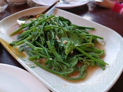 ยอดฟักแม้วผัดน้ำมันหอย