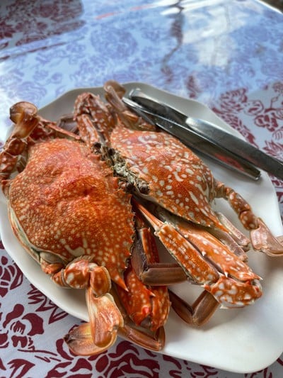 ม. ม้าซีฟู้ด