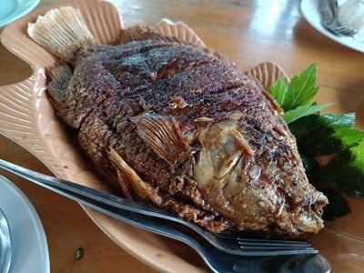 เมนูของร้าน ครัวบ้านสวน@เขาค้อ