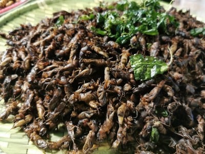 อื่นๆ