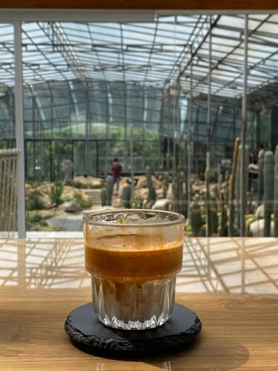 Botanist activity space & cafe