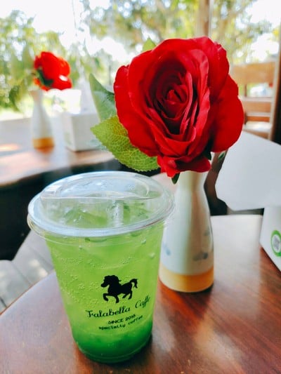 กีวีโซดา