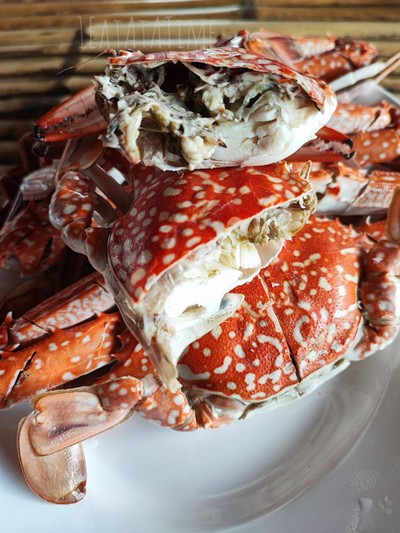 ปูม้านึ่ง