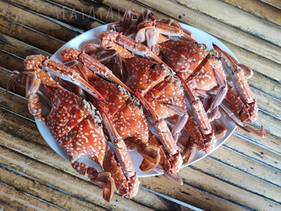 ปูม้านึ่ง