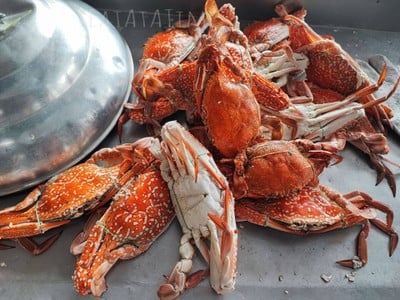 ปูม้านึ่ง