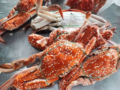 ปูม้านึ่ง