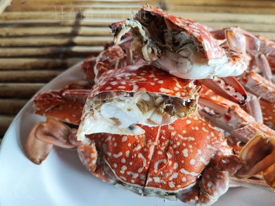 ปูม้านึ่ง