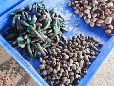 อาหาร หรือ เครื่องดื่ม