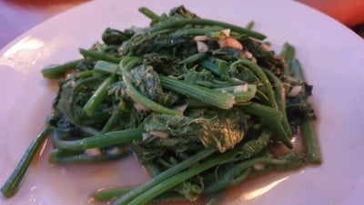 ผัดผักซาโยเต้น้ำมันหอย STIR FRIED “SAYOTE” (SPRING PUMPKIN LEAVES) WITH OYSTER SAUCE