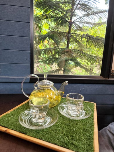 ชาดอกเก๊กฮวย